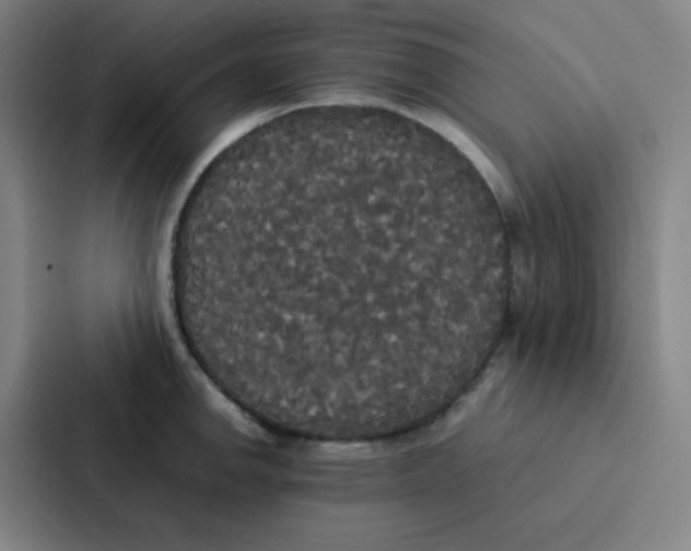 X0000086921142200705141717