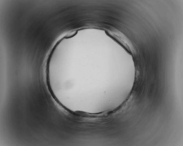 X0000086921143200705141717