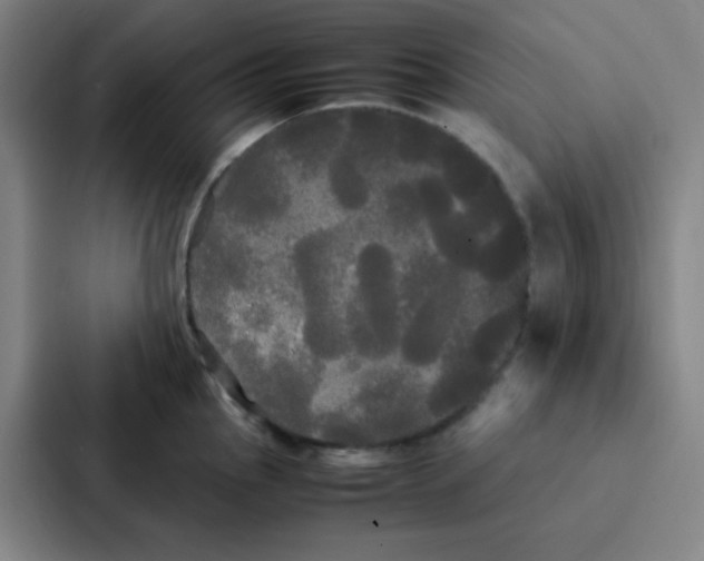 X0000086921145200705141717