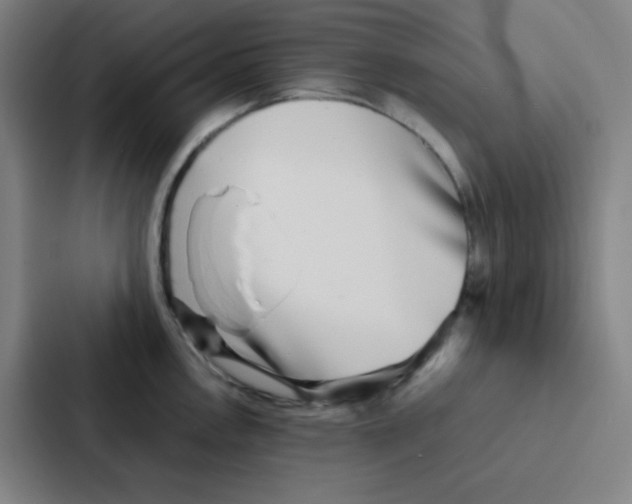 X0000086921146200705141717
