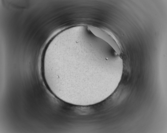 X0000086921147200705141717