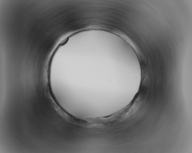 X0000086921148200705141717