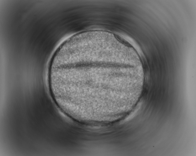 X0000086921149200705141717