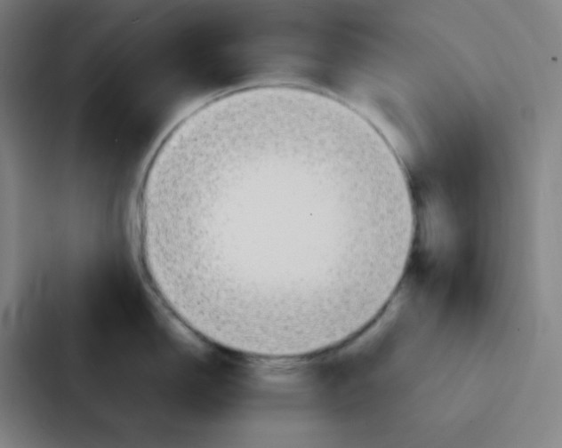 X0000086921150200705141717