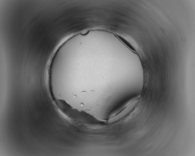 X0000086921151200705141717