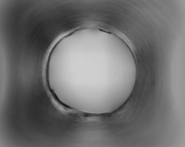 X0000086921152200705141717