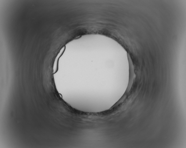 X0000086921153200705141717
