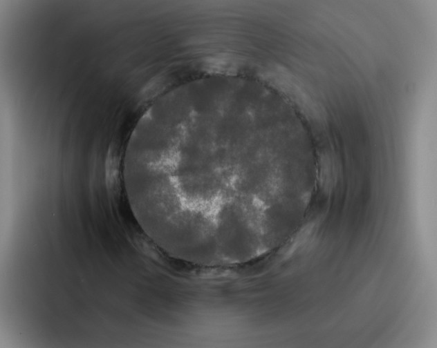 X0000086921154200705141717