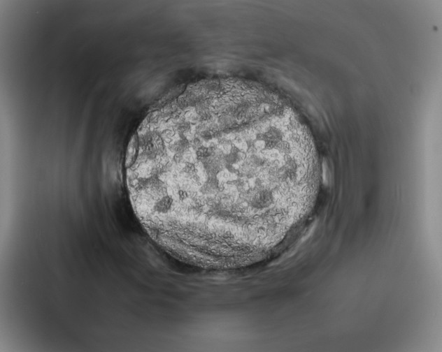 X0000086921155200705141717