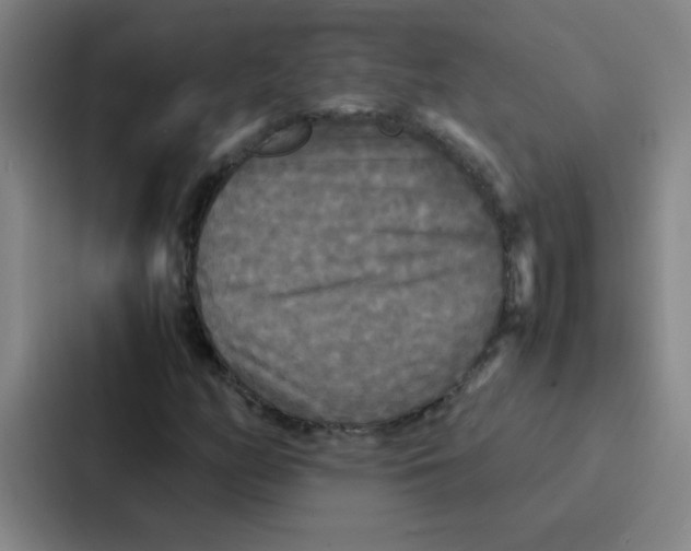 X0000086921158200705141716