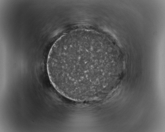 X0000086921159200705141716
