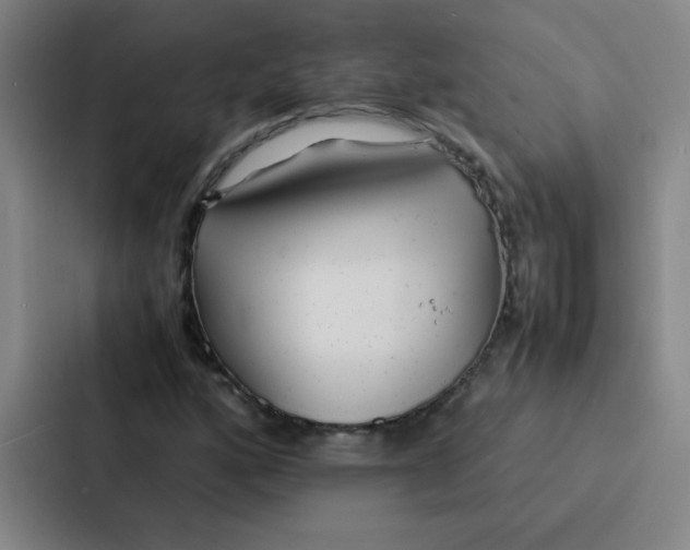 X0000086921160200705141716