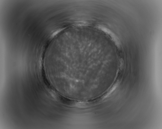 X0000086921161200705141716