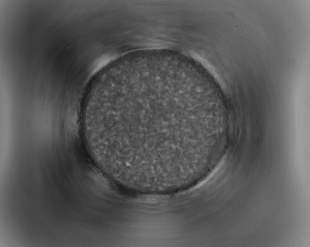 X0000086921163200705141716