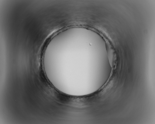 X0000086921165200705141716