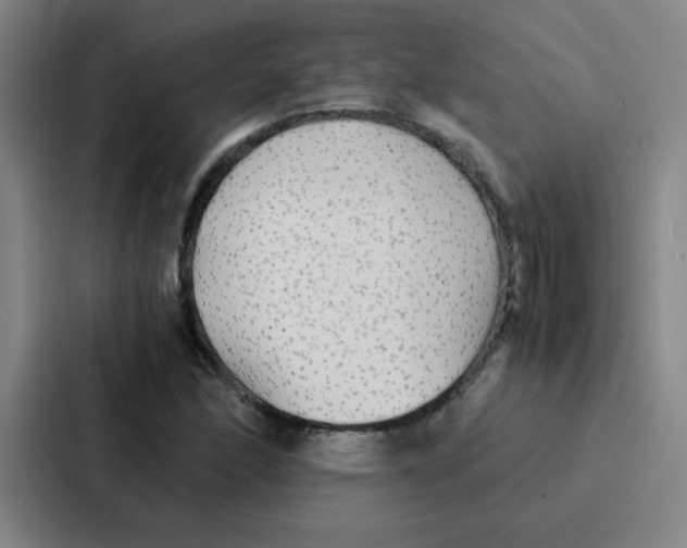 X0000086921166200705141716