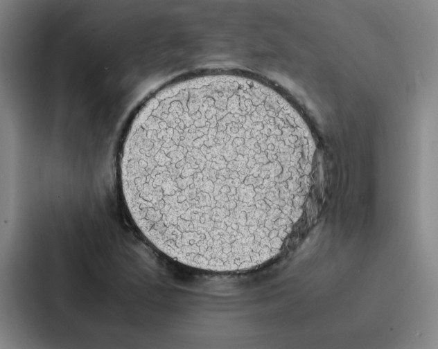 X0000086921167200705141716