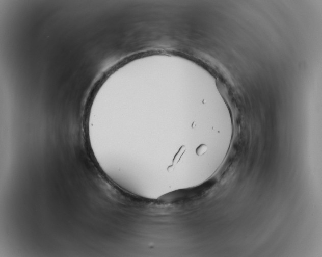 X0000086921168200705141716