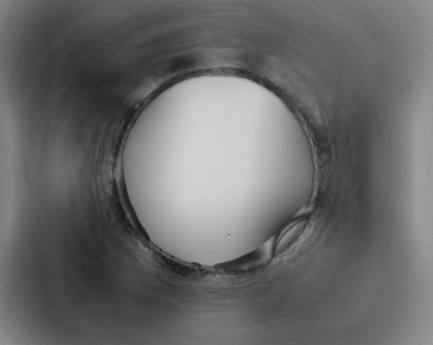 X0000086921169200705141716