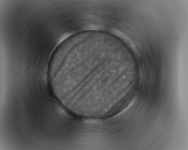X0000086921170200705141716
