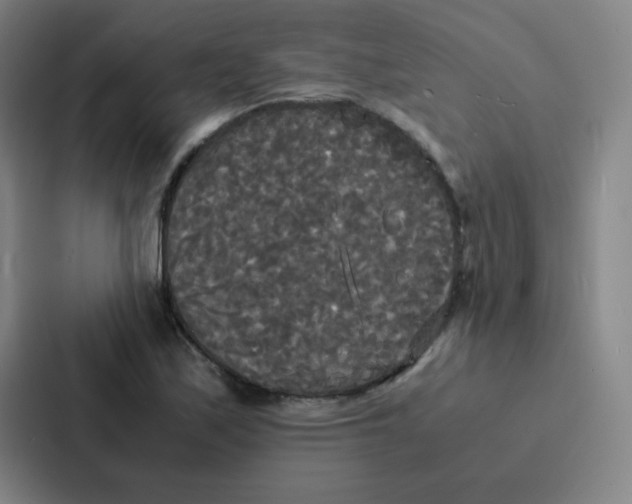 X0000086921171200705141716