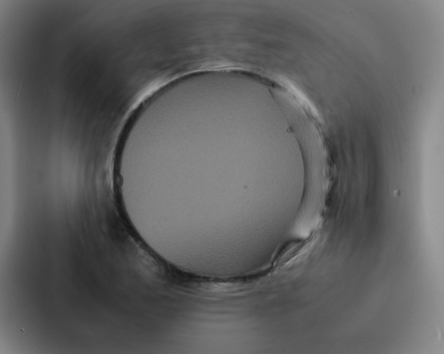 X0000086921173200705141716