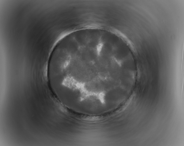 X0000086921174200705141716