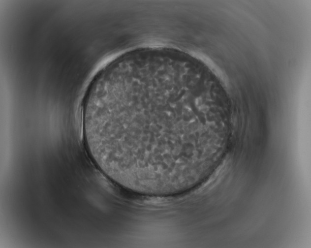 X0000086921175200705141716