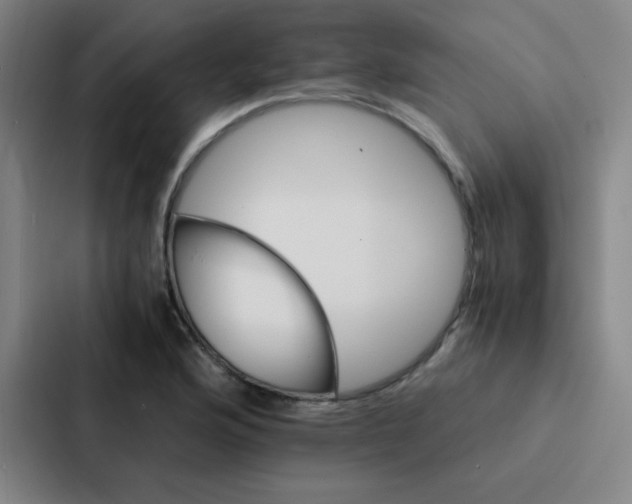 X0000086921176200705141716