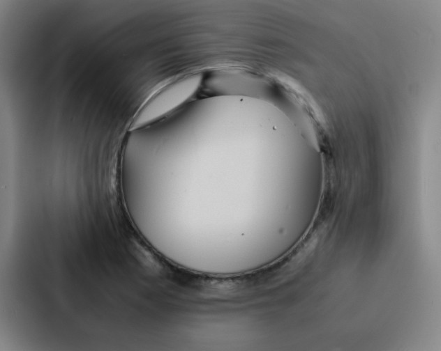 X0000086921177200705141716
