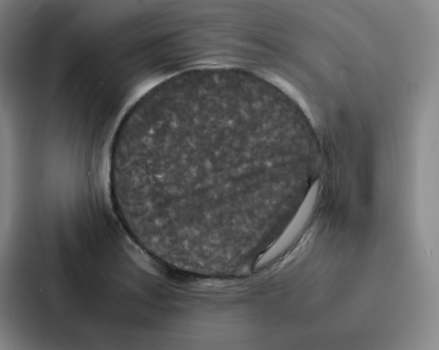 X0000086921179200705141716