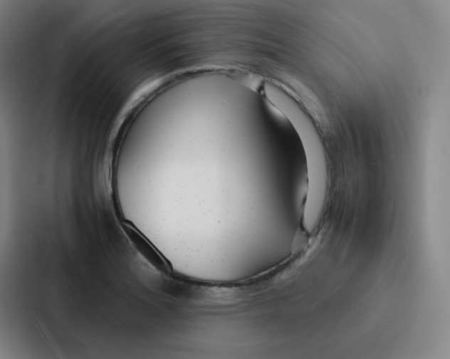 X0000086921180200705141716