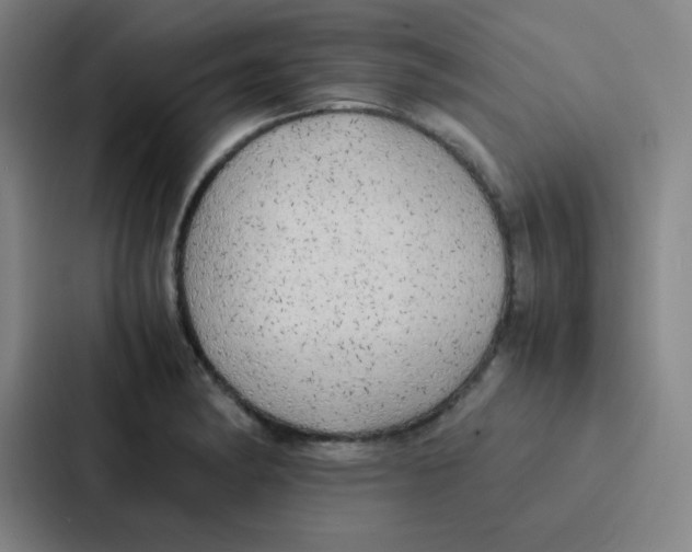 X0000086921182200705141716