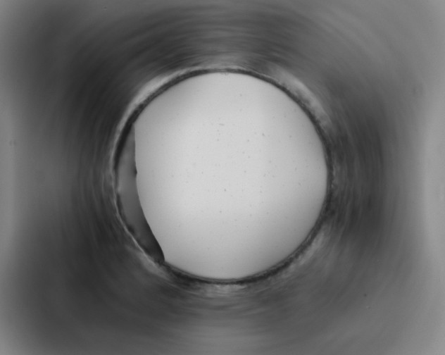 X0000086921184200705141716