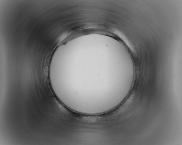X0000086921185200705141716