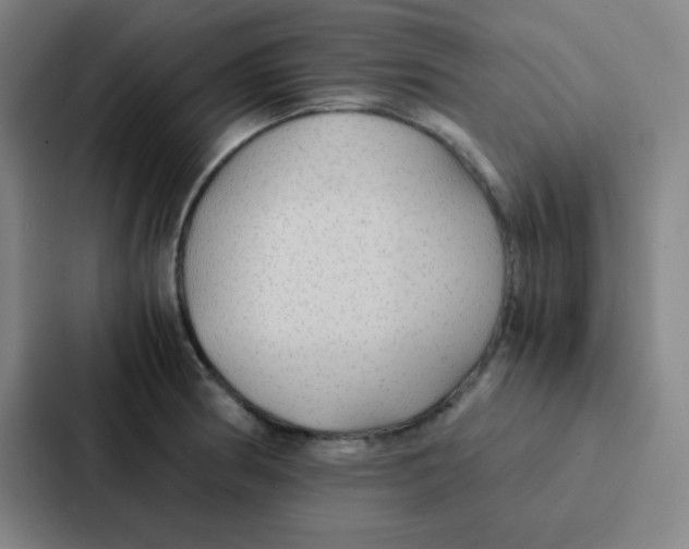 X0000086921186200705141716