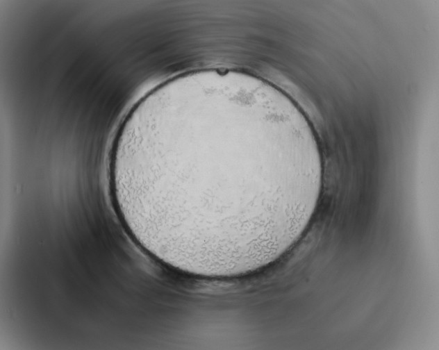 X0000086921187200705141716