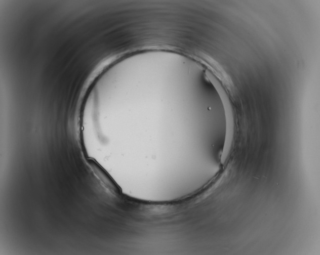 X0000086921188200705141716