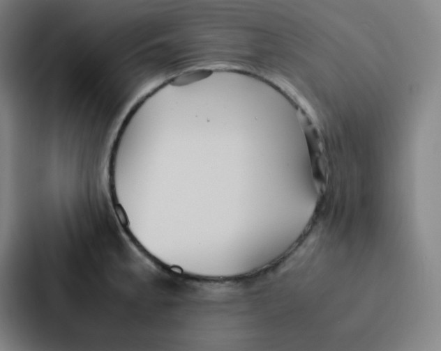 X0000086921189200705141716