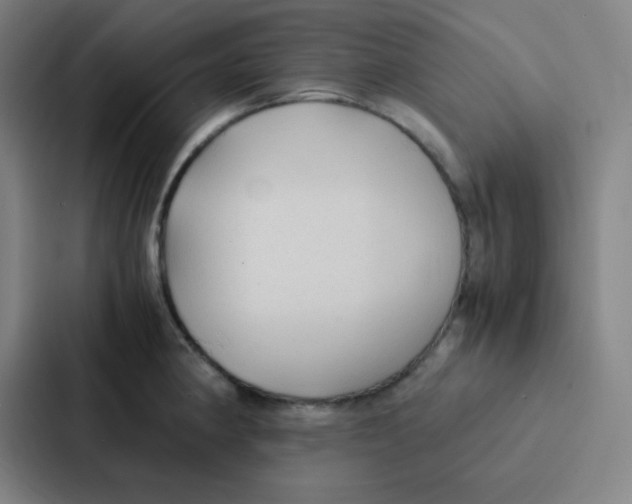 X0000086921190200705141716