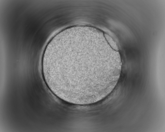 X0000086921191200705141716