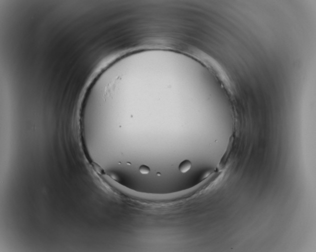 X0000086921192200705141716