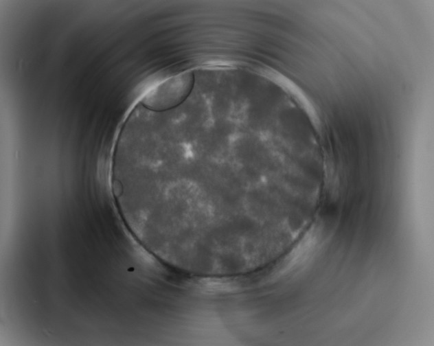 X0000086921194200705141716