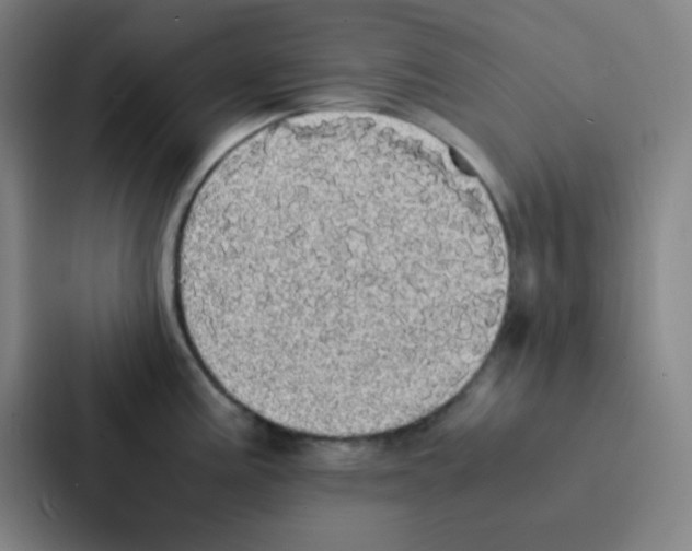 X0000086921195200705141716