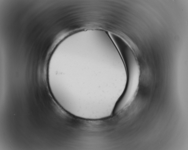 X0000086921196200705141716