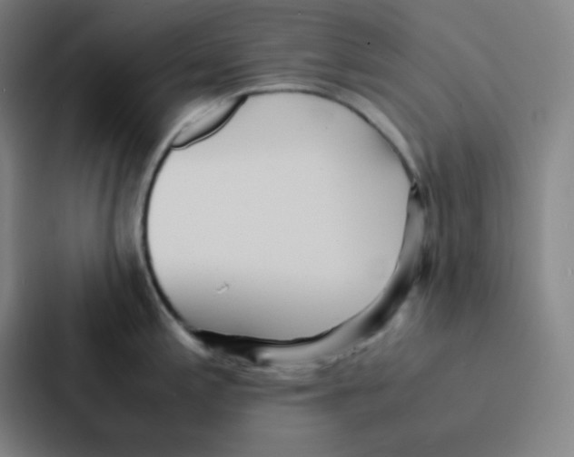 X0000086921197200705141716