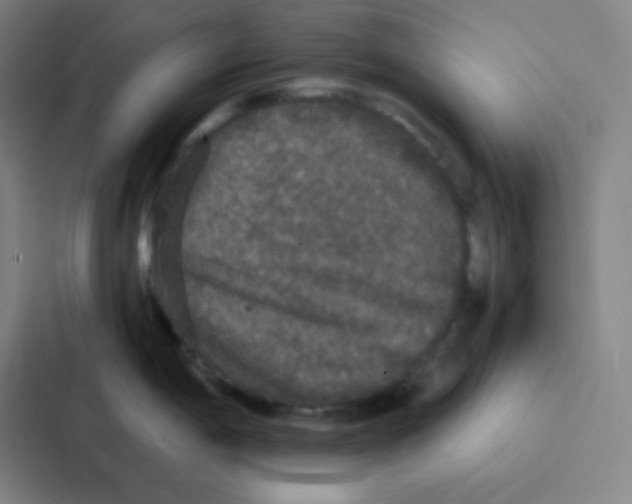 X0000086921198200705141716