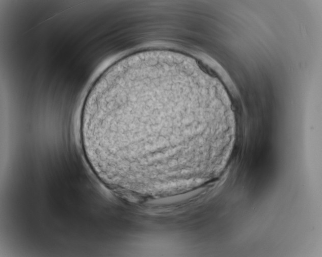 X0000086921199200705141716