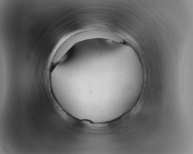 X0000086921200200705141716