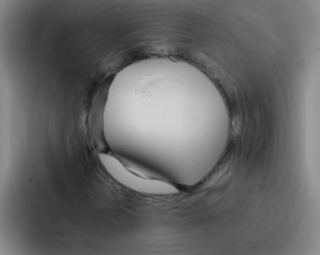 X0000086921202200705141715
